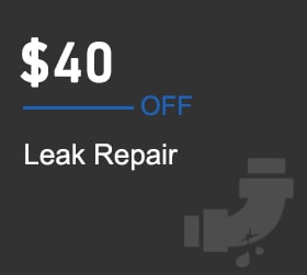 Leak Repair Offer
